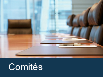 Comités