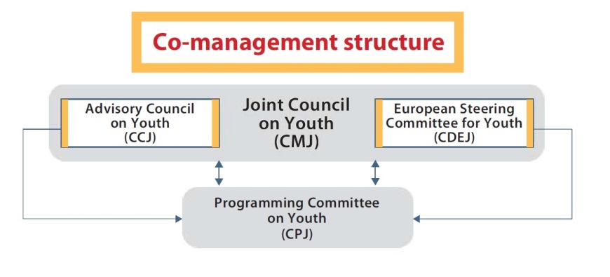 Visual representing the co-management system and its different decision-making bodies