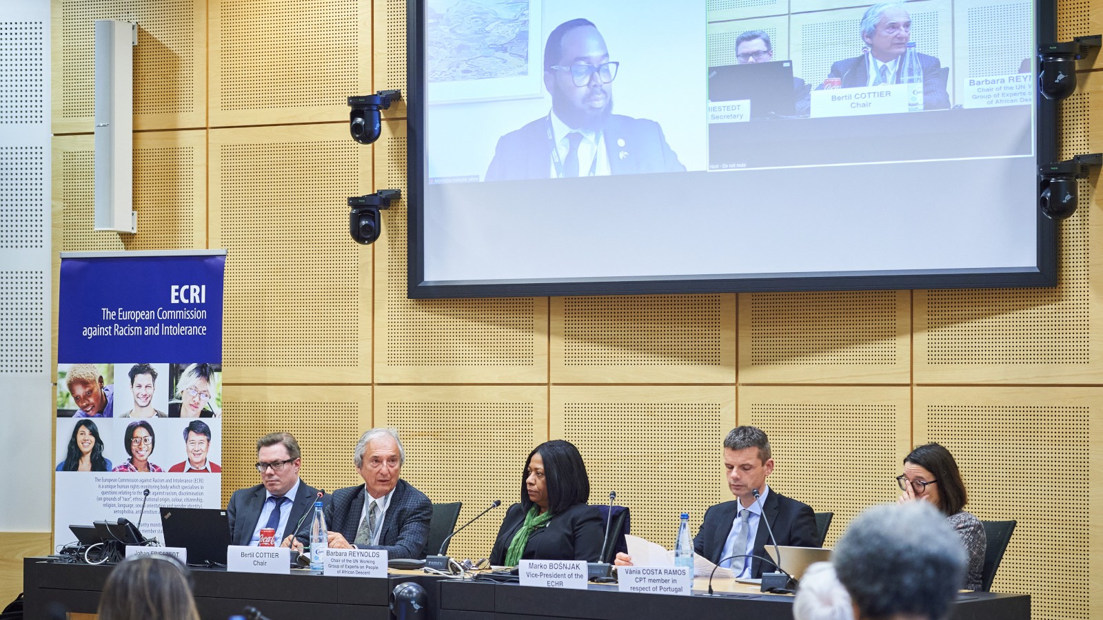 ECRI holds its 94th plenary meeting and exchanges views with the Chairs of the Council of Europe’s Expert Committee on Roma and Traveller Issues and of the United Nations Working Group of Experts on People of African Descent