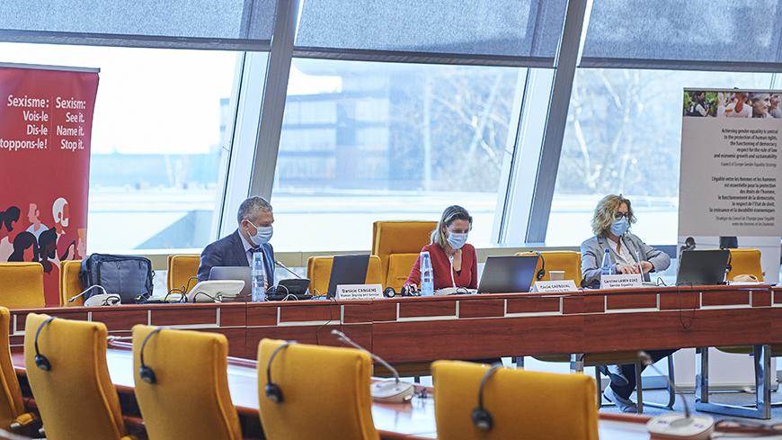 Le Comité de rédaction du Conseil de l'Europe sur les femmes migrantes poursuit ses travaux d’élaboration d’un projet de recommandation sur les femmes migrantes