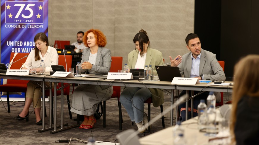 Workshop on enhancing civil society participation in the Council of Europe project