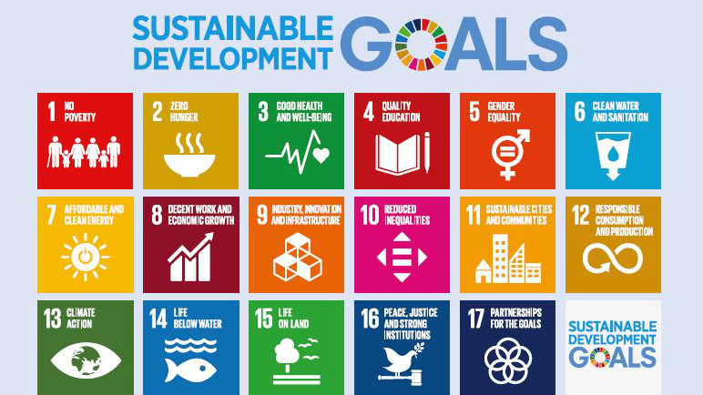 New publication on the Council of Europe's contribution to Goal 5 of the UN Sustainable  Development Agenda - News