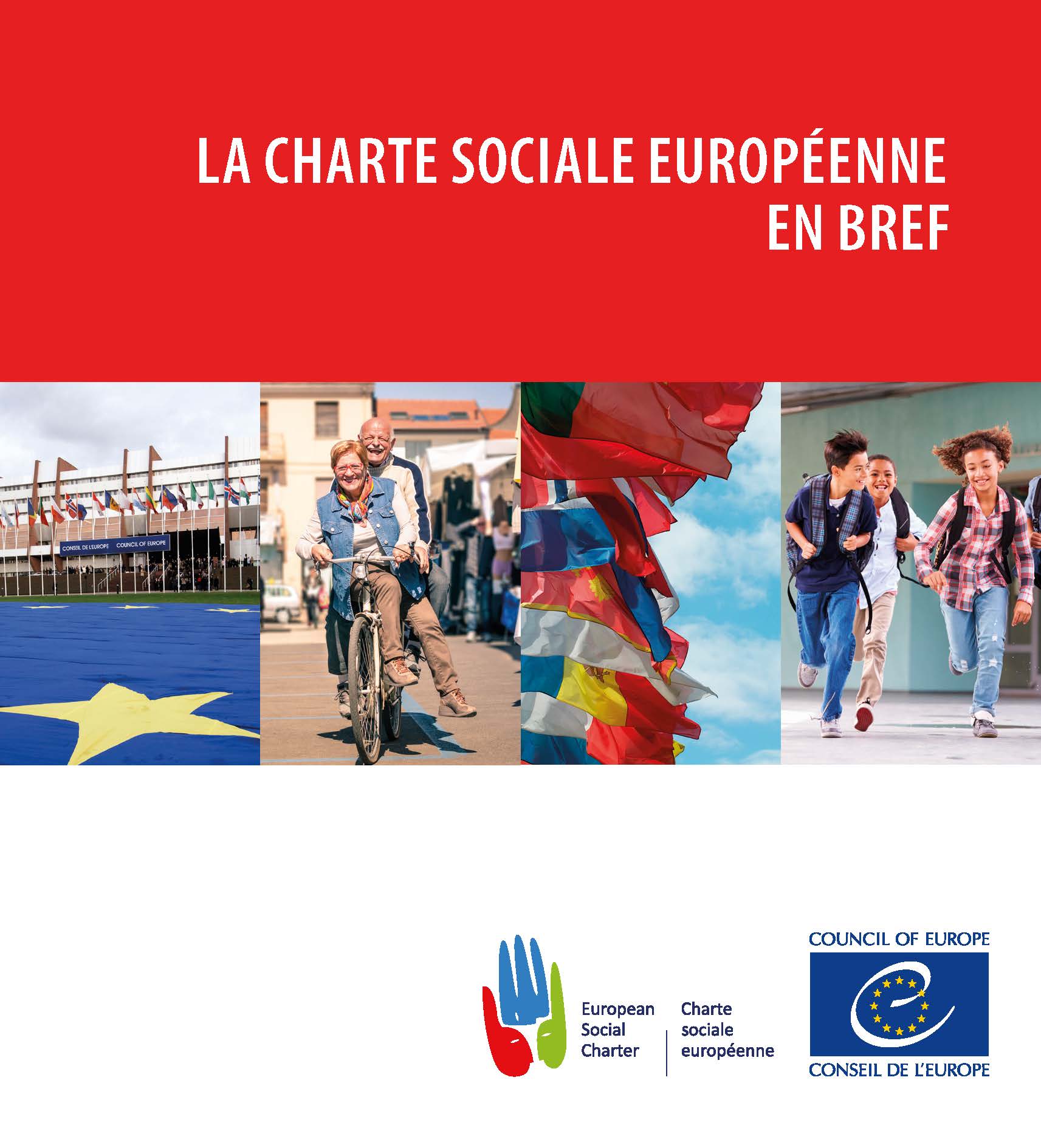 European social Charter. Европейская социальная хартия фото. Европейская социальная хартия фото обложки.