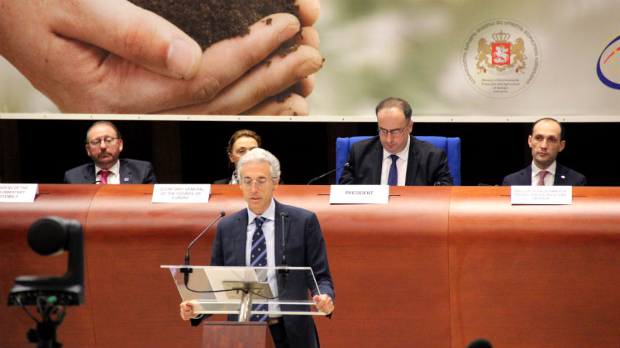 Deterioration of the environment has an undeniable impact on the enjoyment of many social rights, said Giuseppe Palmisano at the high-level Conference on Environmental Protection and Human Rights