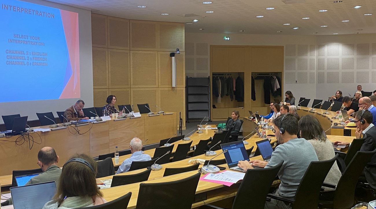 Formation «Plaidoyer pour des droits des travailleurs et des syndicats au Conseil de l'Europe»