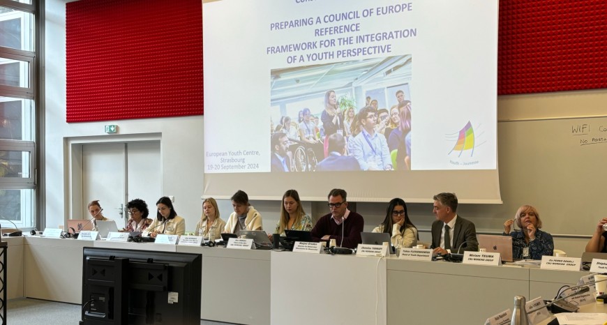 Including youth perspectives and participation across the Council of Europe’ work