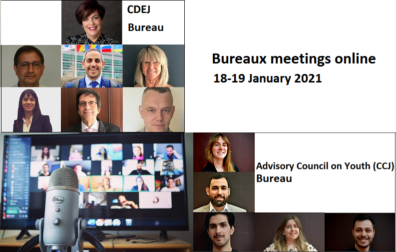 Youth sector statutory bodies’ Bureaux: straight down to business in 2021!