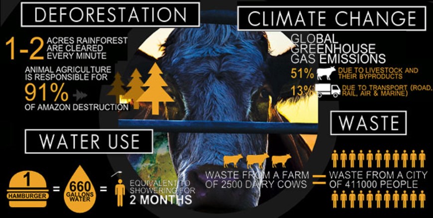 Cowspiracy: The Sustainability Secret