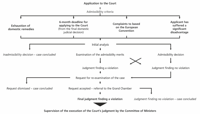 Image: Proceedings before the European Court of Human Rights