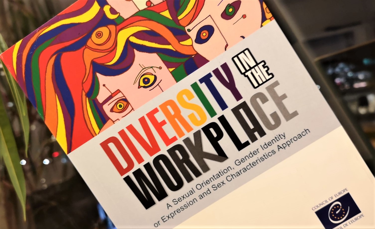 Diversity in the Workplace, a SOGIESC approach