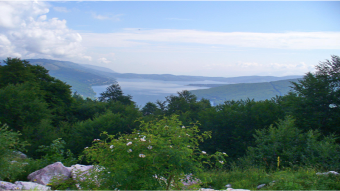 Parc national de Mavrovo