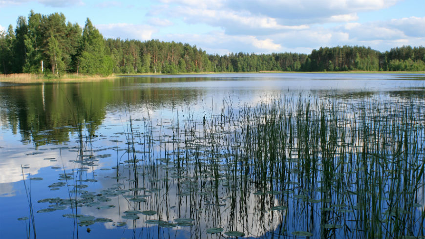 The Standing Committee to the Bern Convention met last week in Strasbourg to assess European progress towards the sustainable use of our common natural heritage