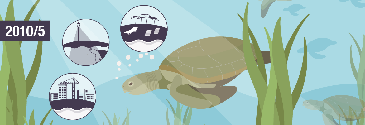 Threats to marine turtles in Thines Kiparissias