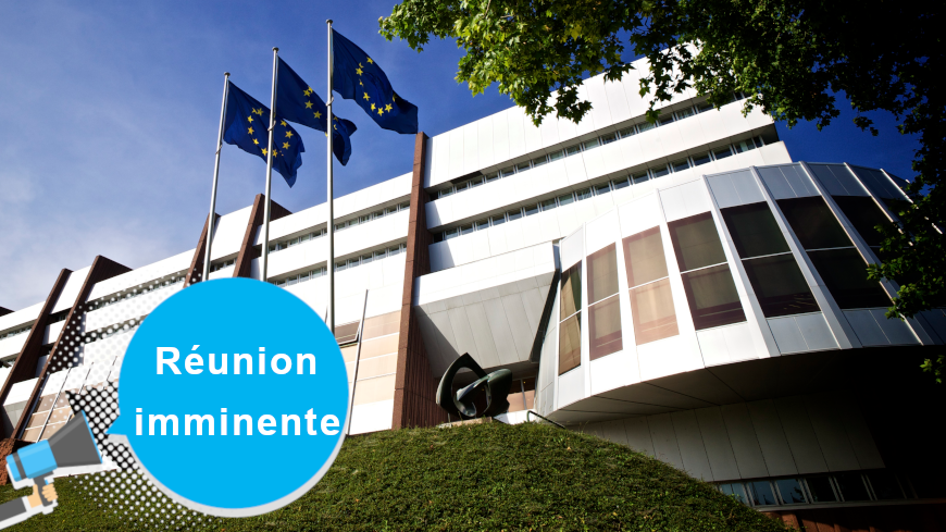 1398ème réunion du Comité des Ministres sur la mise en œuvre des arrêts de la Cour européenne