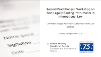 Non-Legally Binding Instruments in International Law