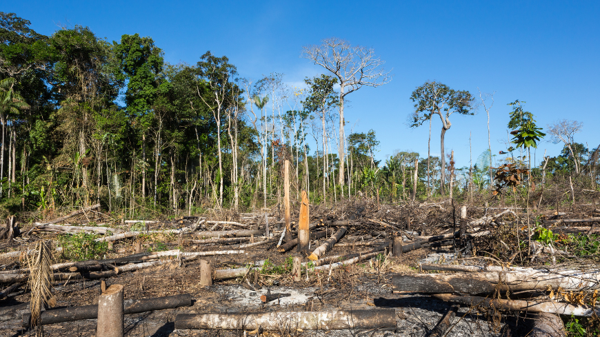 Le rôle des procureurs dans la protection de l'environnement