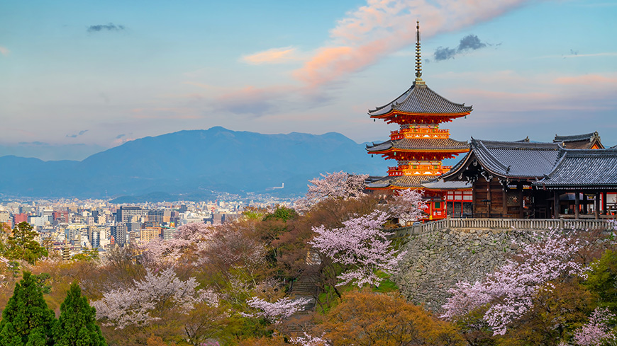 Kyoto: le Conseil de l'Europe au Forum sur la gouvernance de l’internet