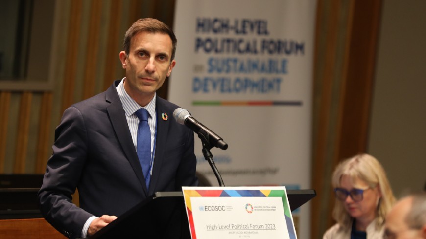 Congress addresses UN High-Level Political Forum