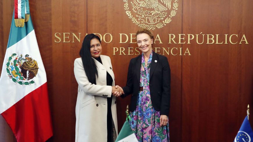 Visita oficial a México de la secretaria general