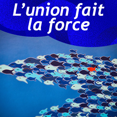 Strength in unity – Fish and shark (in French)