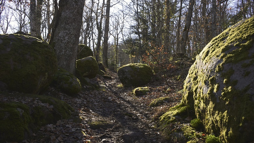 25 years of protecting Europe’s landscapes: the Florence Convention