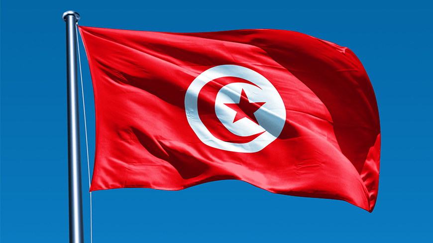 Насилие в отношении женщин: Совет Европы готов оказать содействие Тунису в связи с новым законом