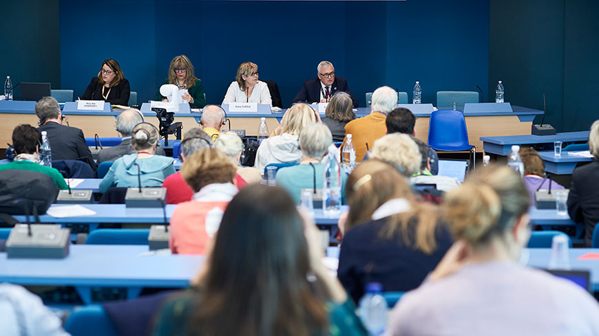 Sessione della Conferenza delle organizzazioni internazionali non governative (OING)