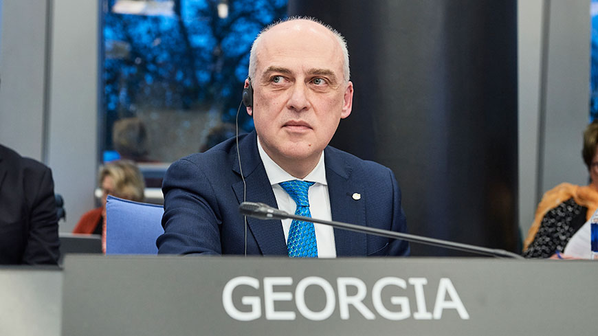 Statement by David Zalkaliani, Minister for Foreign Affairs of Georgia and President of the Committee of Ministers