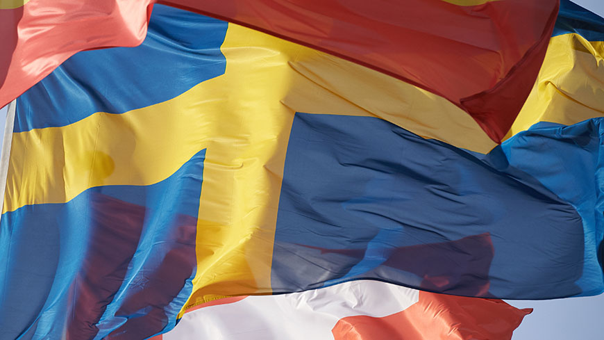Informe: Los expertos piden a Suecia que incluya a la lengua  como factor dediscriminación en su legislación