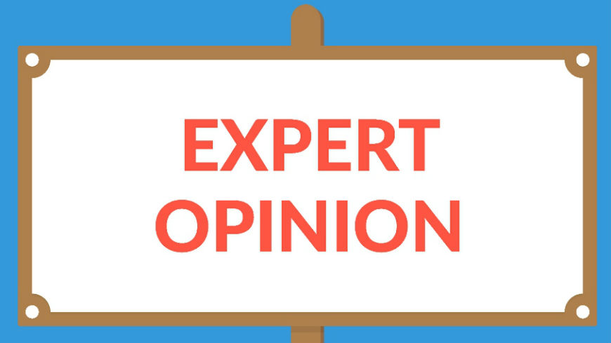 Expert opinions