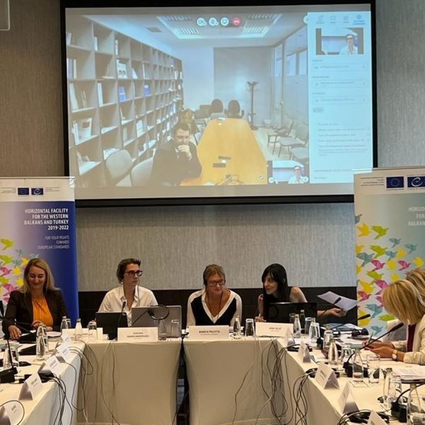 Sixth Steering Committee of the Action against Economic Crime in Montenegro