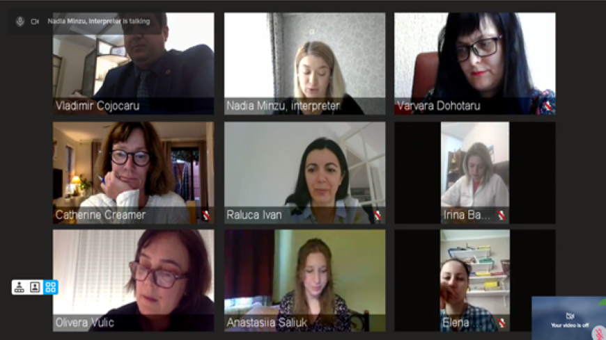 The 1st Online Meeting of the Working Group for the Development of the Mental Health Care Strategy for the Penitentiary System