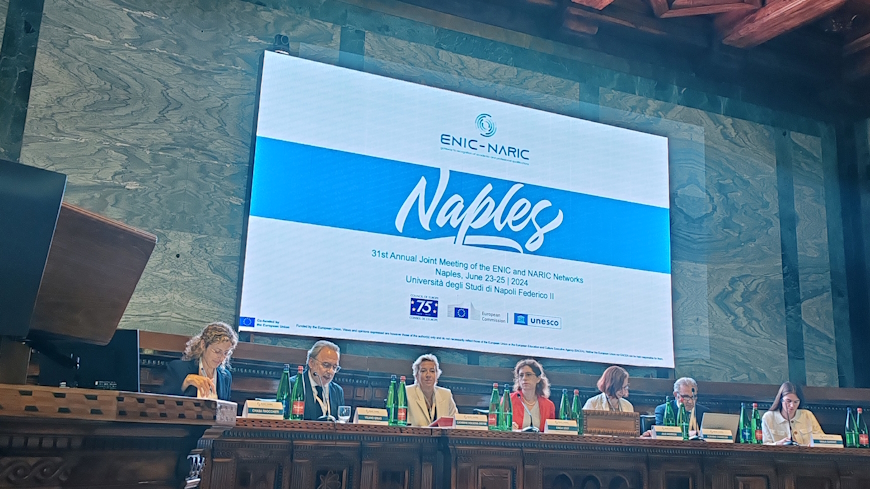 Annual Joint Meeting of the ENIC and NARIC Networks, Naples, Italy, 23-25 June 2024
