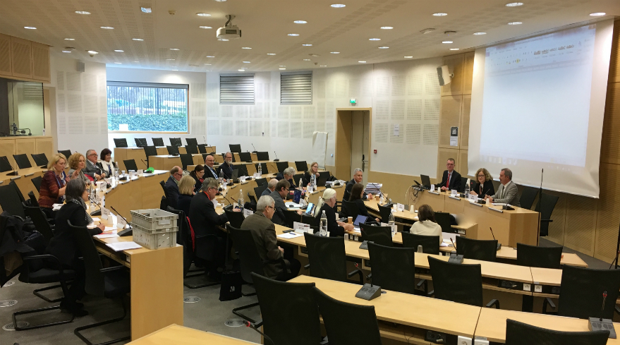 Committee of Experts meets in plenary