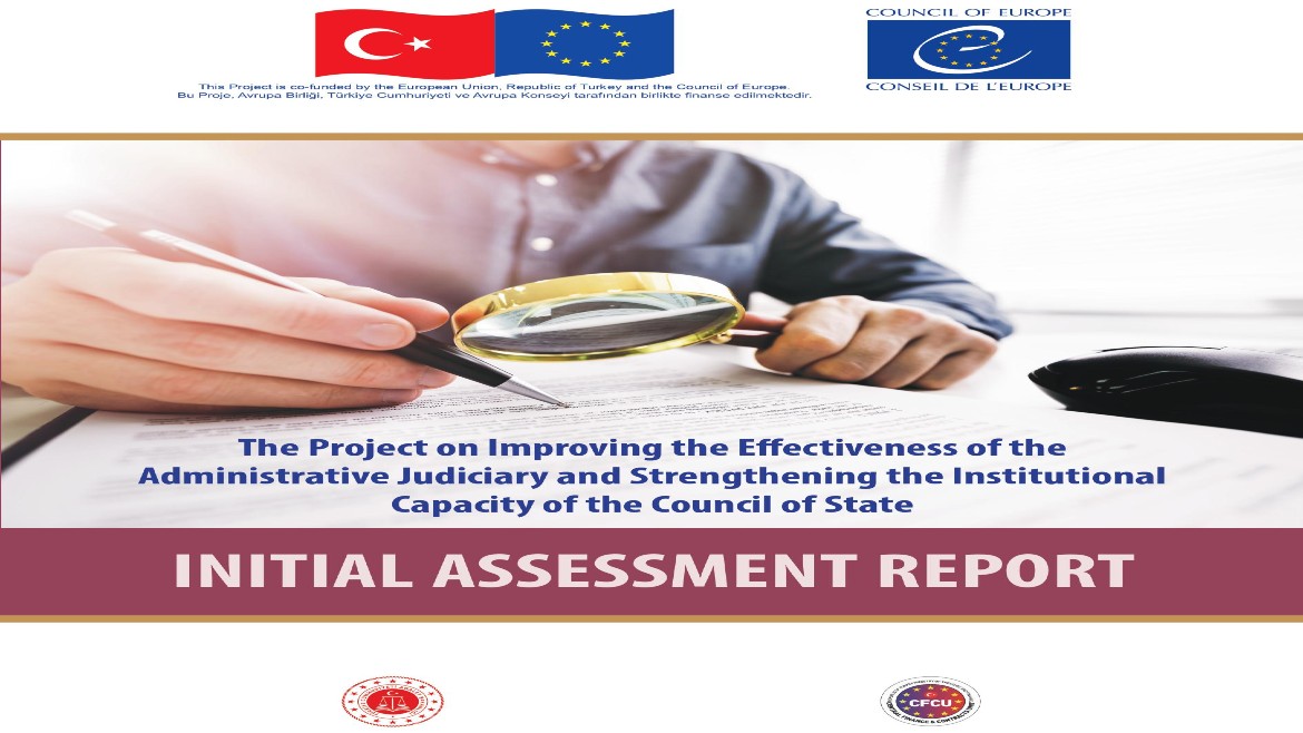 Initial Assessment Report published