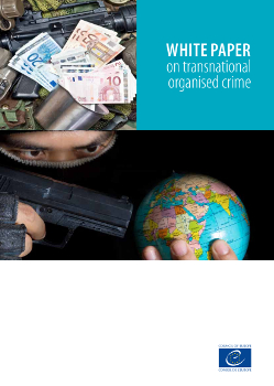 The White Paper on Transnational Organised Crime