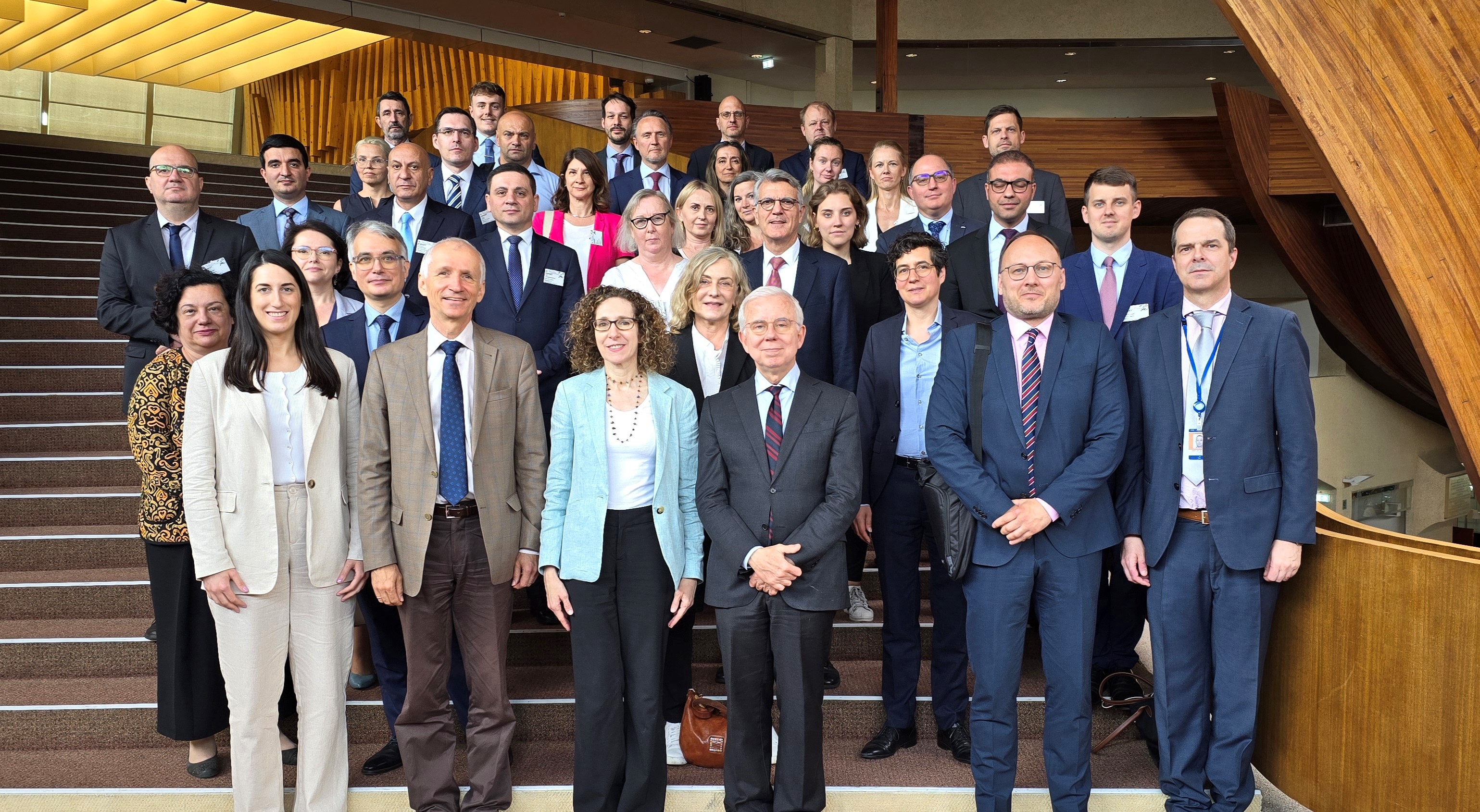 85e réunion plénière du Comité européen pour les problèmes criminels (CDPC)