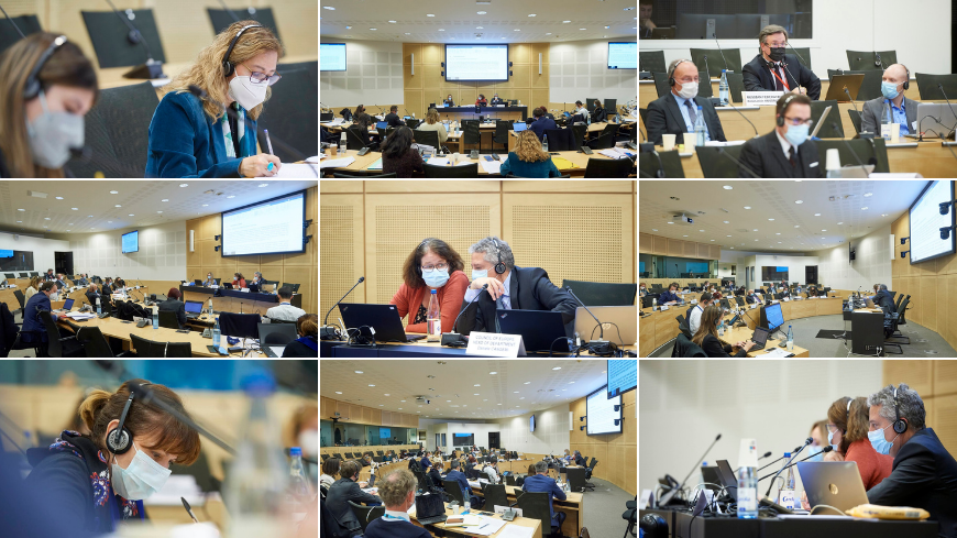 12th meeting of the CDDH ad hoc negotiation group "47+1" on the EU accession to the ECHR