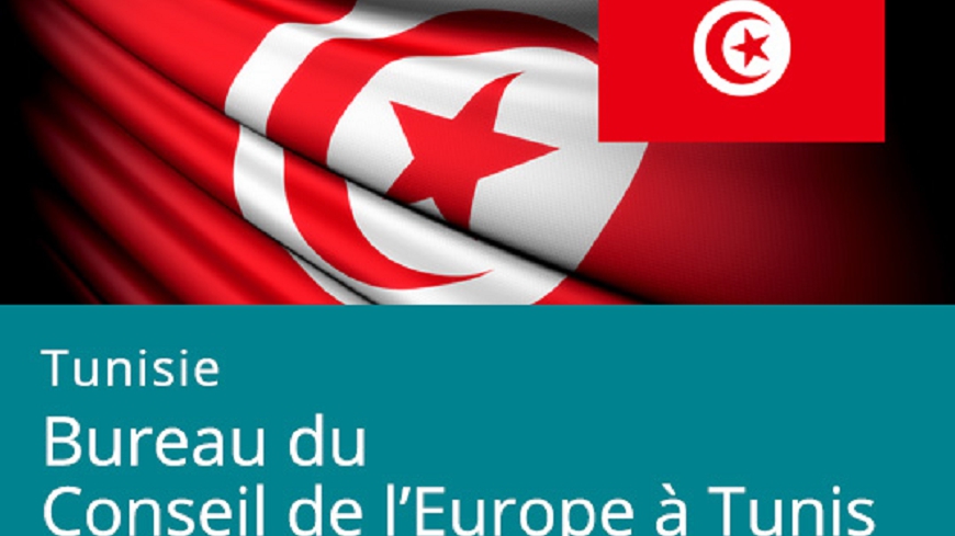 South Programme II: Meetings of the bilateral Steering Committees for Tunisia and Morocco