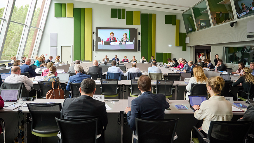 On the first meeting, 39 member states discussed democratic challenges and CDDEM tasks for the biennium 2024-2025