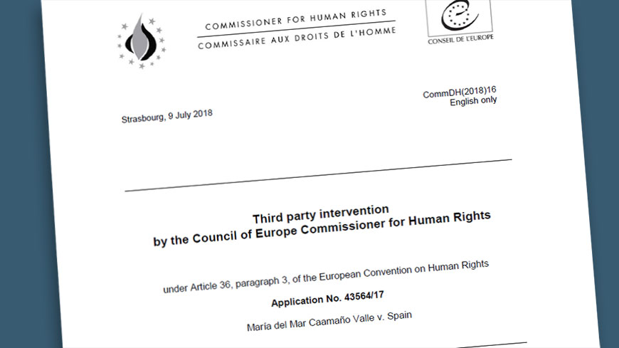 La Commissaire aux droits de l’homme intervient devant la Cour de Strasbourg au sujet du droit de vote des personnes handicapées