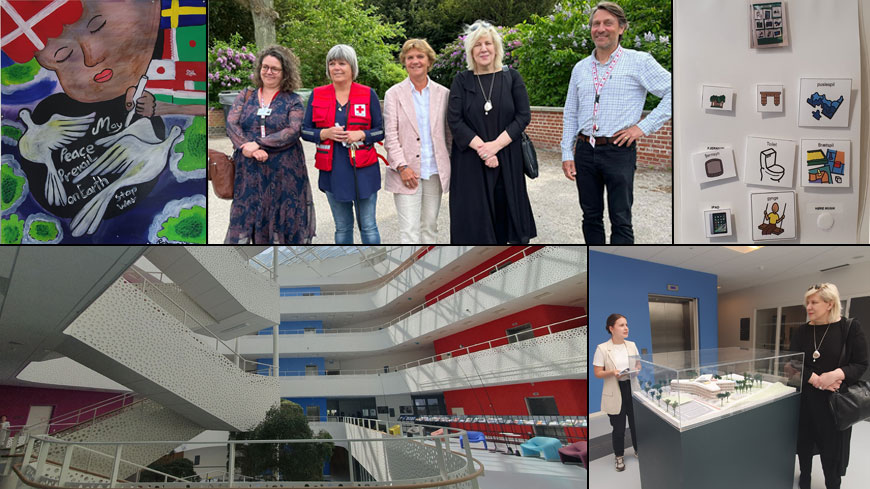 During her visit, Commissioner Mijatović visited the Avnstrup returns centre (top left and centre), the Sofiebo residential unit for children with autism (top right) and the House of Disabled People's Organisations (bottom left and right)