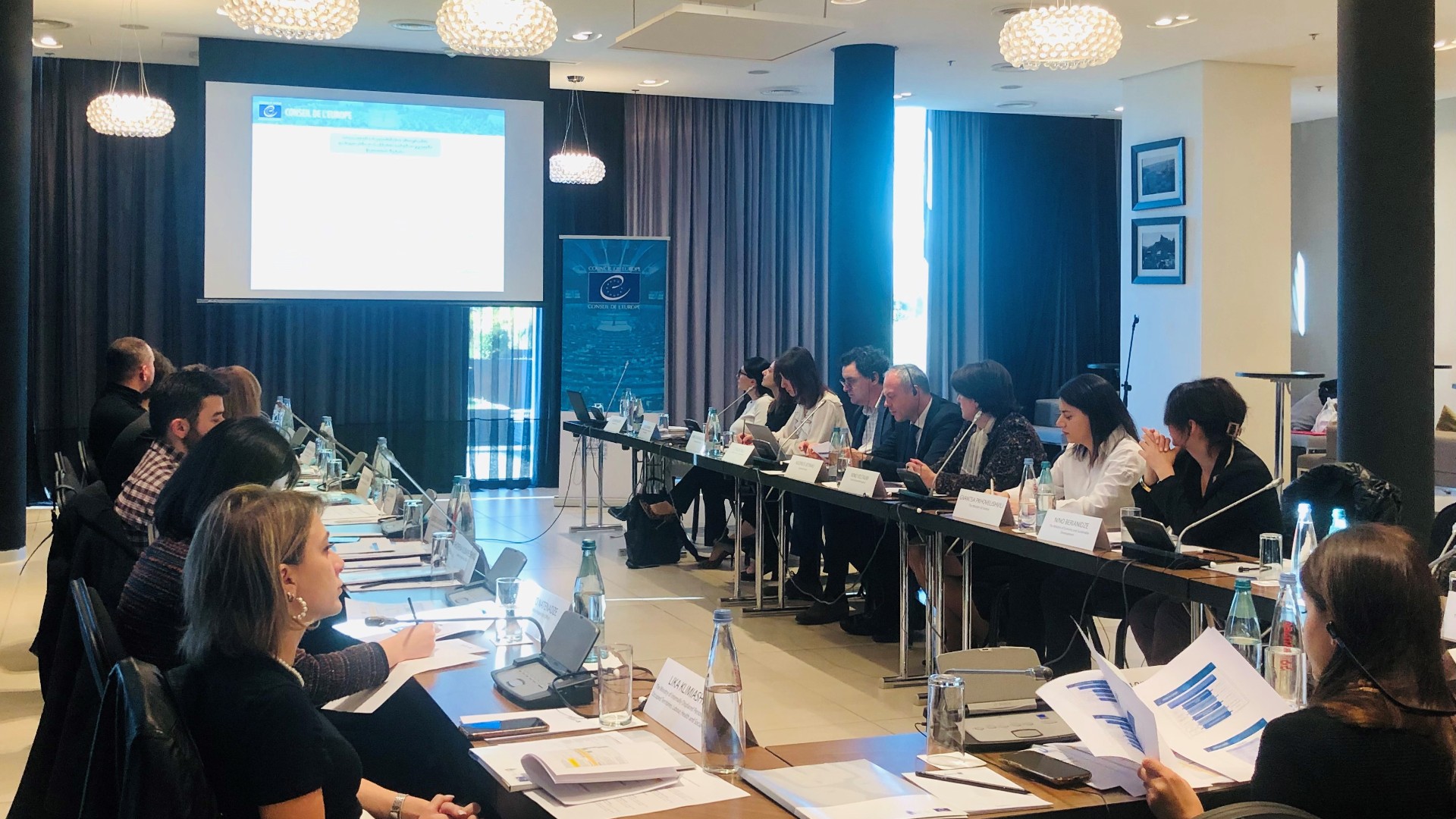 3rd Steering Committee meeting of the Council of Europe Project “Strengthening Protection of Social and Economic Rights in Georgia”