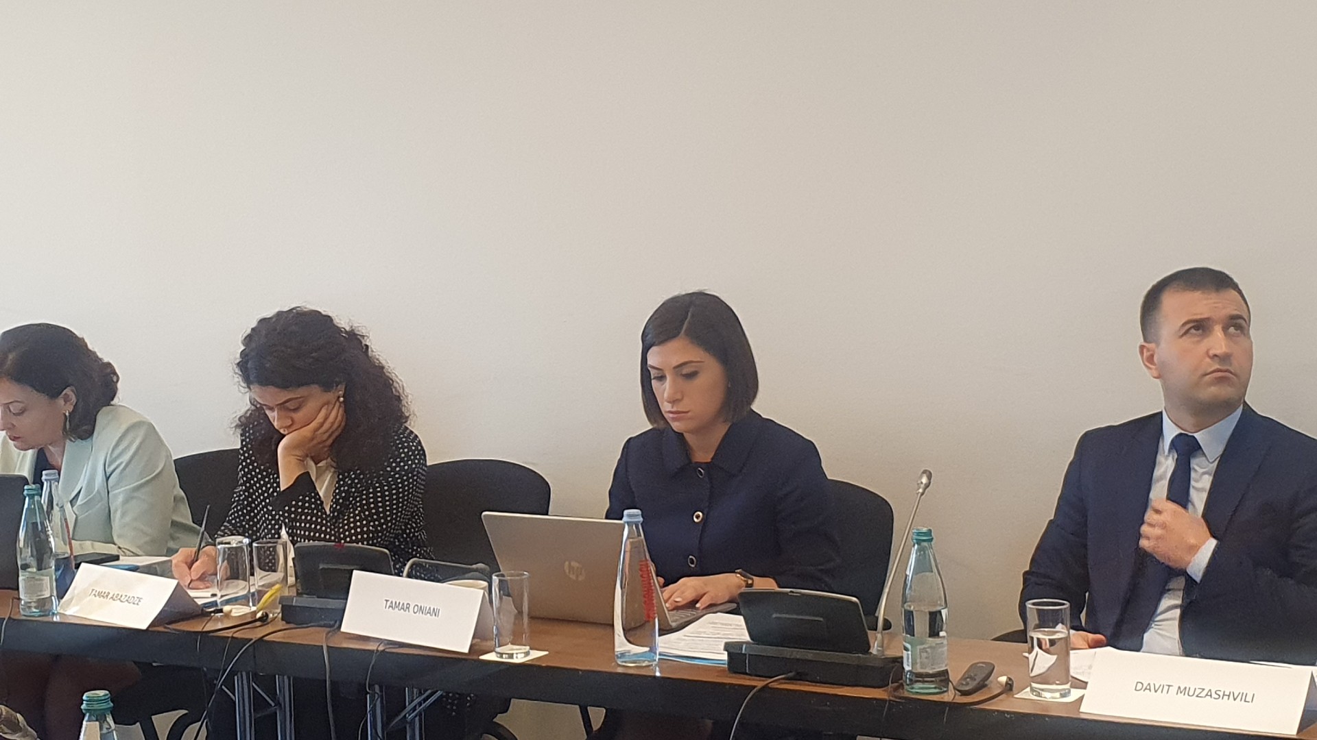 Working group meeting the National Strategy and Action Plan for Execution of the judgments of the European Court of Human Rights in Georgia