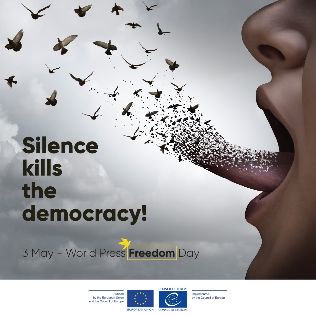 Silence kills the democracy – a campaign to mark the World Press Freedom Day - 3 May