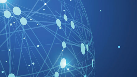How is the implementation monitored?