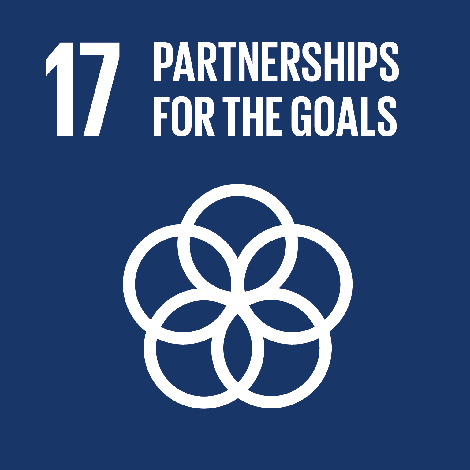 Sdgs Agenda 30