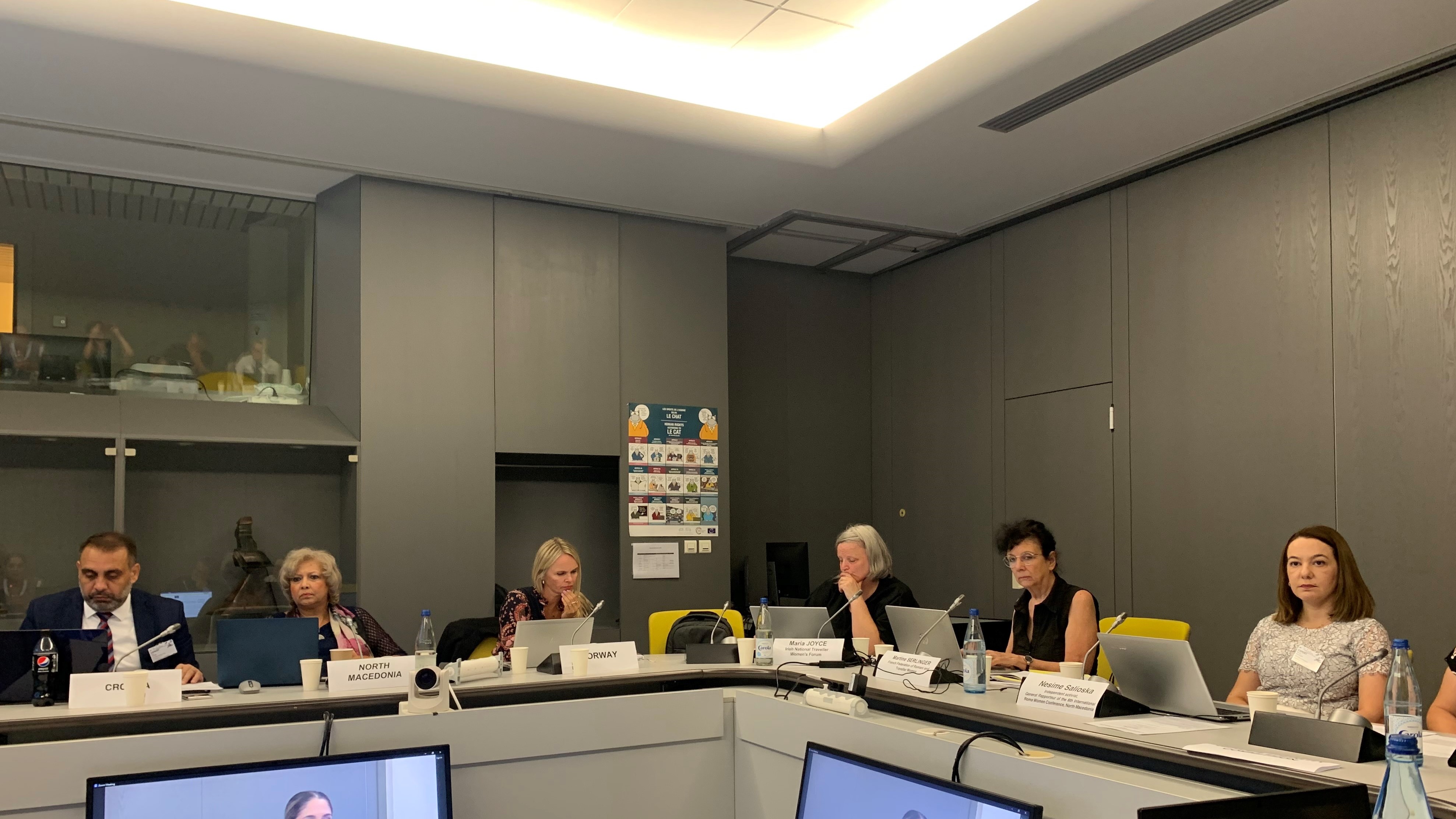 ADI-ROM working group to finalise its work on the draft CM Recommendation on equality for Roma and Traveller women and girls during its 6th meeting in Strasbourg