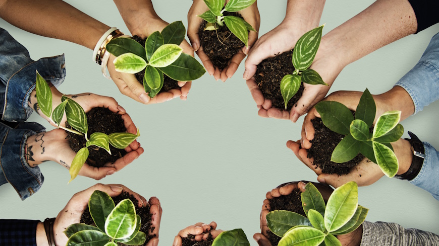Environment and equality