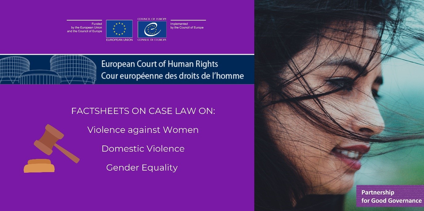 Factsheets on case law of the European Court of Human Rights on violence against women and domestic violence now available in Azerbaijani